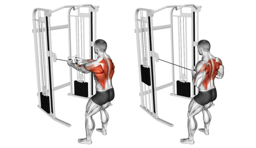 6 Best Cable Back Exercises for Real Muscle Gains