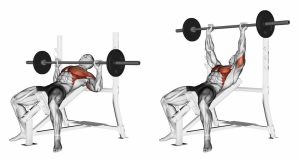 6 Best Tricep Dip Alternative for Effective Arm Training