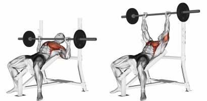 6 Best Tricep Dip Alternative for Effective Arm Training