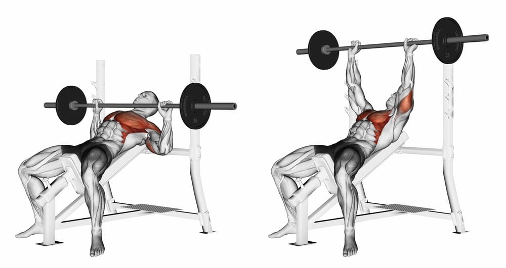 6 Best Tricep Dip Alternative for Effective Arm Training
