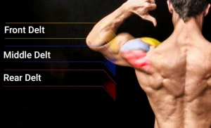 7 Best Middle Delt Exercises for Bigger Shoulders