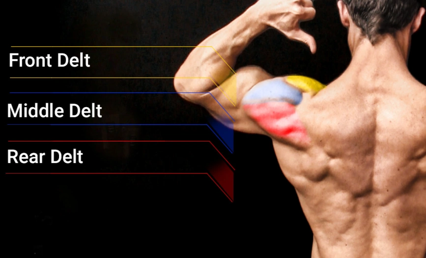 7 Best Middle Delt Exercises for Bigger Shoulders