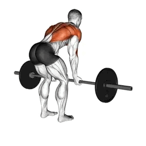 Barbell rows
