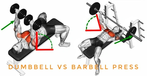 Bench Press Bar vs Dumbbells Find Your Perfect Fit