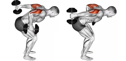 Best Lateral Head Tricep Exercises to Build Outer Arm Definition