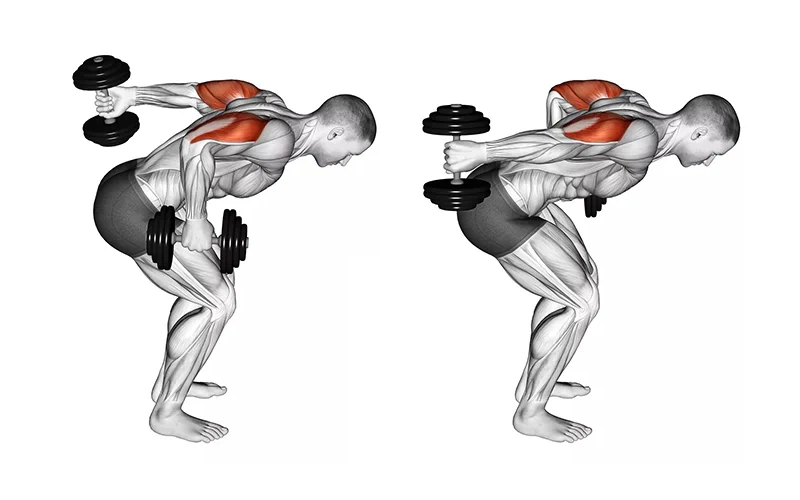 Best Lateral Head Tricep Exercises to Build Outer Arm Definition