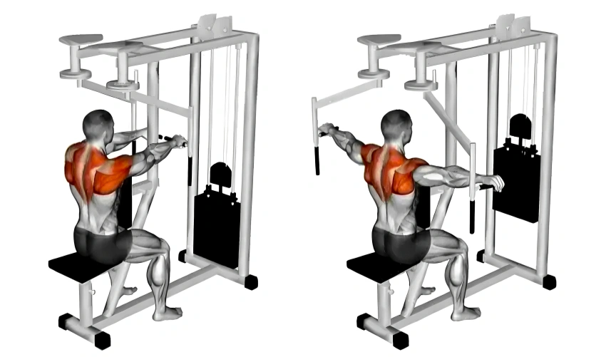 Chest and Back Exercises That Actually Feel Worth It