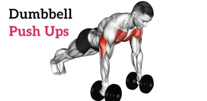 Dumbbell Push Ups Guide Build Strength and Stability