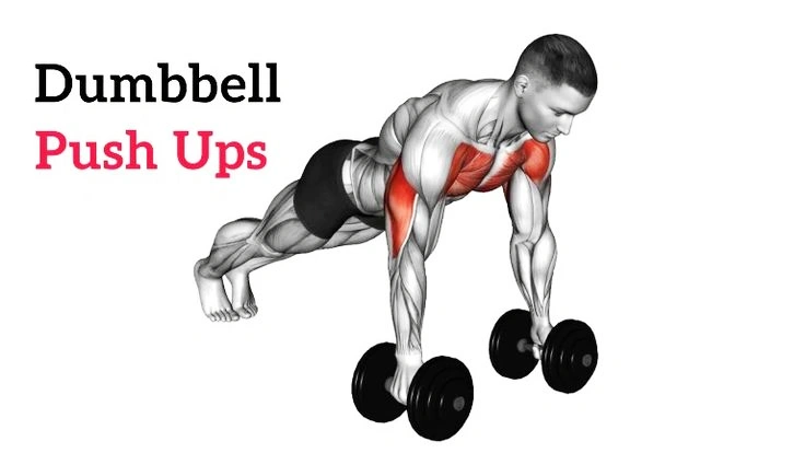 Dumbbell Push Ups Guide Build Strength and Stability