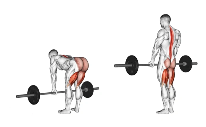 How to improve your deadlift