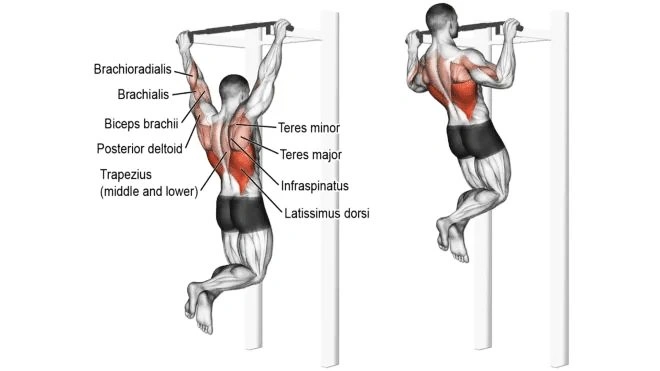 Key Factors That Decide Your Pull Up Sets
