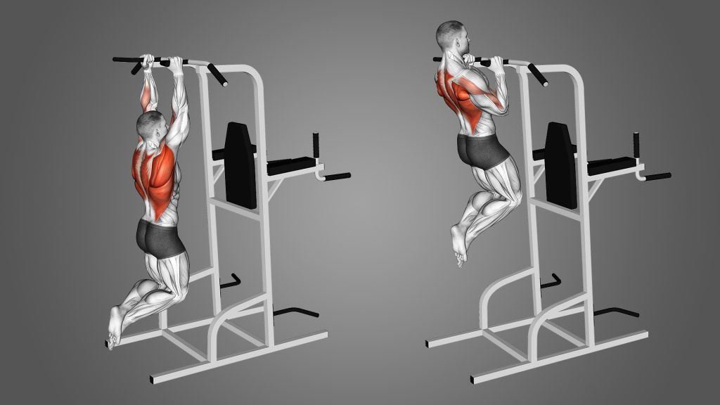 Neutral Grip Pull Up to a Stronger Back