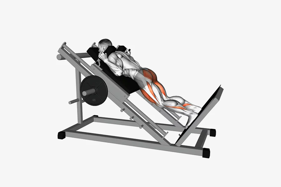 Reverse Hack Squat