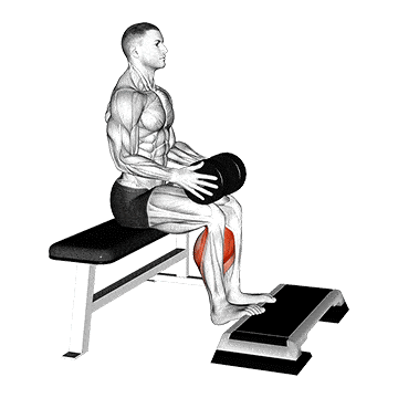 Seated Calf Raise