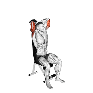 Seated Tricep Press