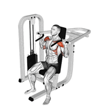 Shoulder-press