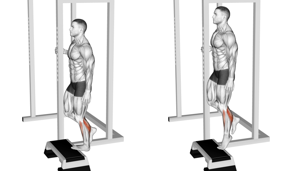 Single Leg Calf Raise