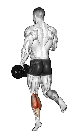 Single Leg Calf Raises with Dumbbell