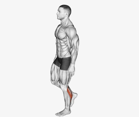 Single Leg Calf Raises