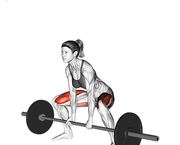 Sumo Deadlift