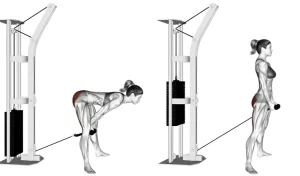 Top 5 Best Cable Tricep Exercises