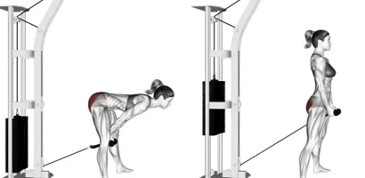 Top 5 Best Cable Tricep Exercises