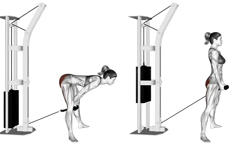 Top 5 Best Cable Tricep Exercises
