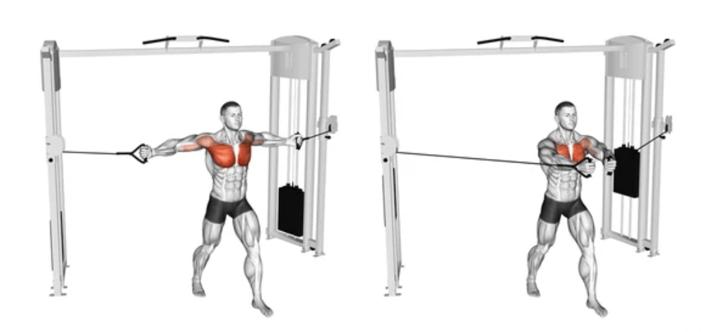 Top Resistance Band Chest Exercises to Build Strength