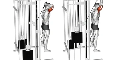 Ultimate Tricep Workout Routine for Stronger Arms