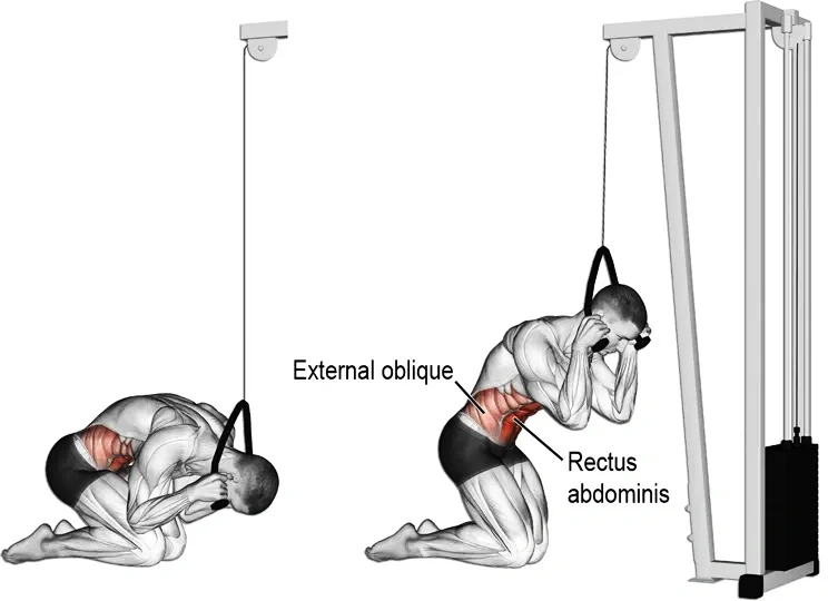 What are Cable Ab Crunches