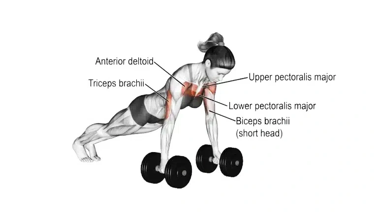 What is Dumbbell Push Ups