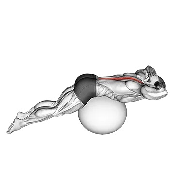 back extension on stretching ball