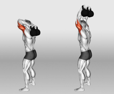 kettlebell Triceps Exercise