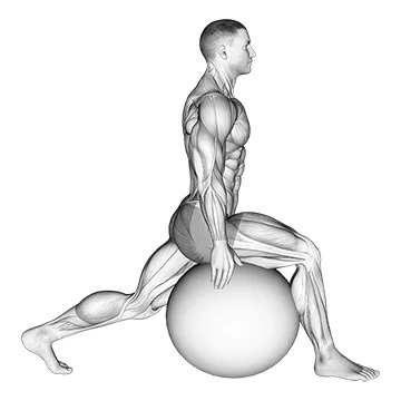 stretching ball lunge stretch
