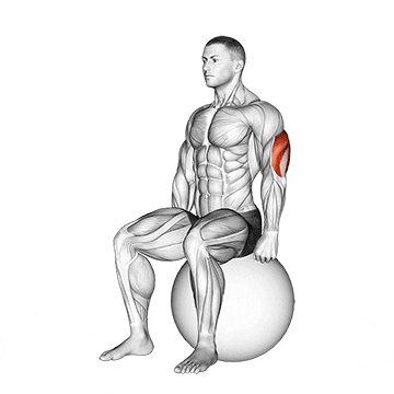 stretching ball seated triceps stretch