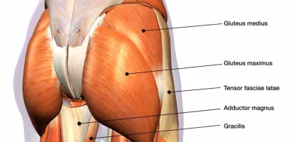 what exercise targets all glute muscles